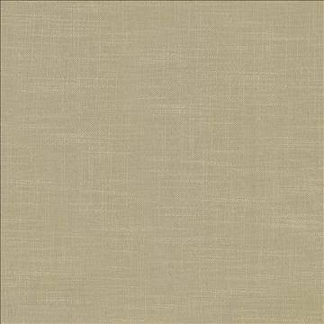 Big Sur Chinchilla by Kasmir Fabric 1341 55% Rayon 45% Polyester TAIWAN 30,000 Wyzenbeek Double Rubs H: N/A, V: N/A 54 - 55 - Fabric Carolina - Kasmir