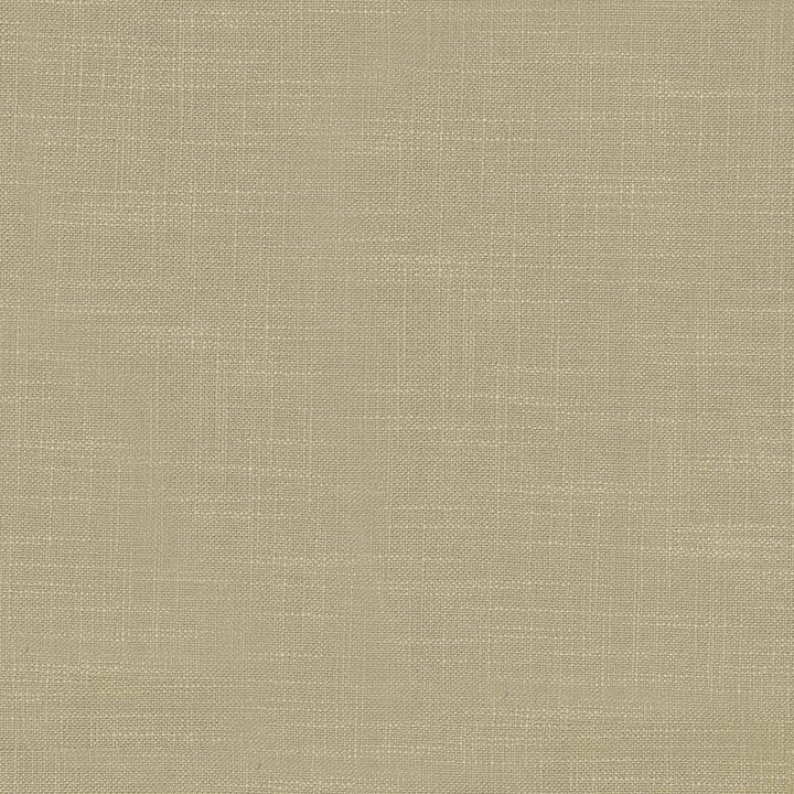 Big Sur Chinchilla by Kasmir Fabric 5025 55% Rayon 45% Polyester TAIWAN 30,000 Wyzenbeek Double Rubs H: N/A, V:N/A 54 - 55 - Fabric Carolina - Kasmir