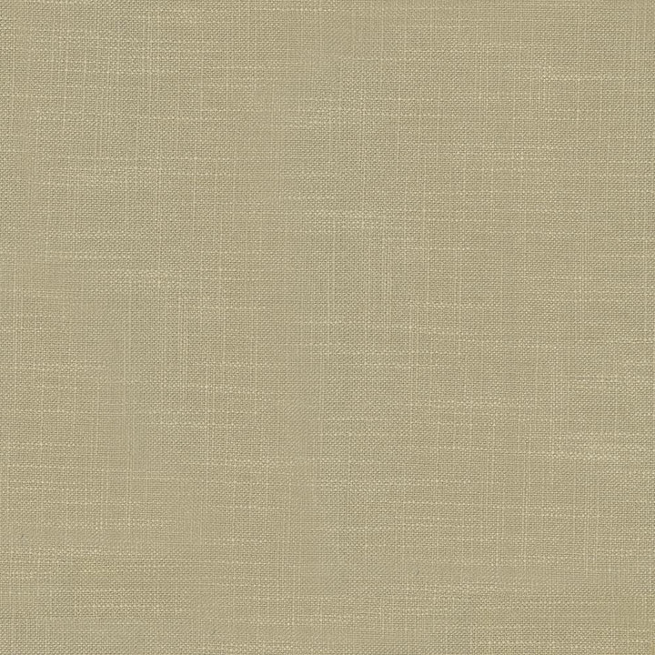Big Sur Chinchilla by Kasmir Fabric 5025 55% Rayon 45% Polyester TAIWAN 30,000 Wyzenbeek Double Rubs Horizontal: 0 Inches and Vertical: 0 Inches 54 - 55 - Fabric Carolina -