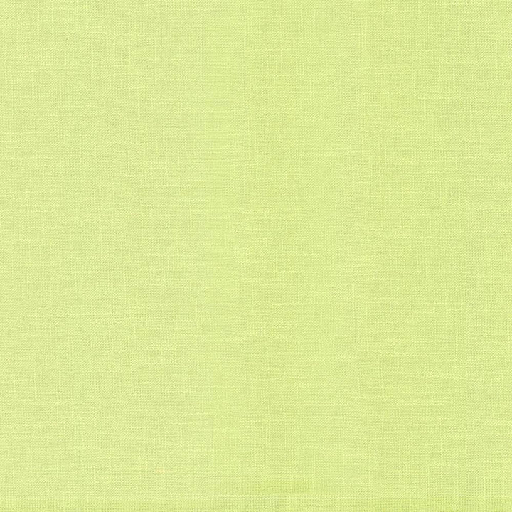 Big Sur Citron by Kasmir Fabric 5025 55% Rayon 45% Polyester TAIWAN 30,000 Wyzenbeek Double Rubs H: N/A, V:N/A 54 - 55 - Fabric Carolina - Kasmir
