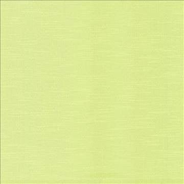 Big Sur Citron by Kasmir Fabric 5025 55% Rayon 45% Polyester TAIWAN 30,000 Wyzenbeek Double Rubs H: N/A, V: N/A 54 - 55 - Fabric Carolina - Kasmir