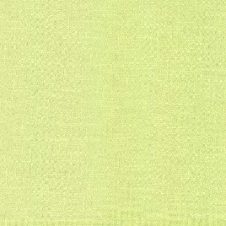 Big Sur Citron  by Kasmir Fabric See sample 55% Rayon
45% Polyester
 TAIWAN 30,000 Wyzenbeek Double Rubs </p><p>Repeat: Horizontal: N/A and Vertical: N/A 54  - Fabric Carolina -