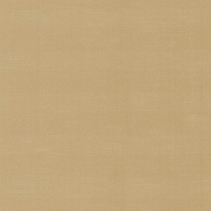 Big Sur Cobblestone by Kasmir Fabric 1341 55% Rayon
45% Polyester
 TAIWAN 30,000 Wyzenbeek Double Rubs Horizontal: N/A and Vertical: N/A 54 - Fabric Carolina -