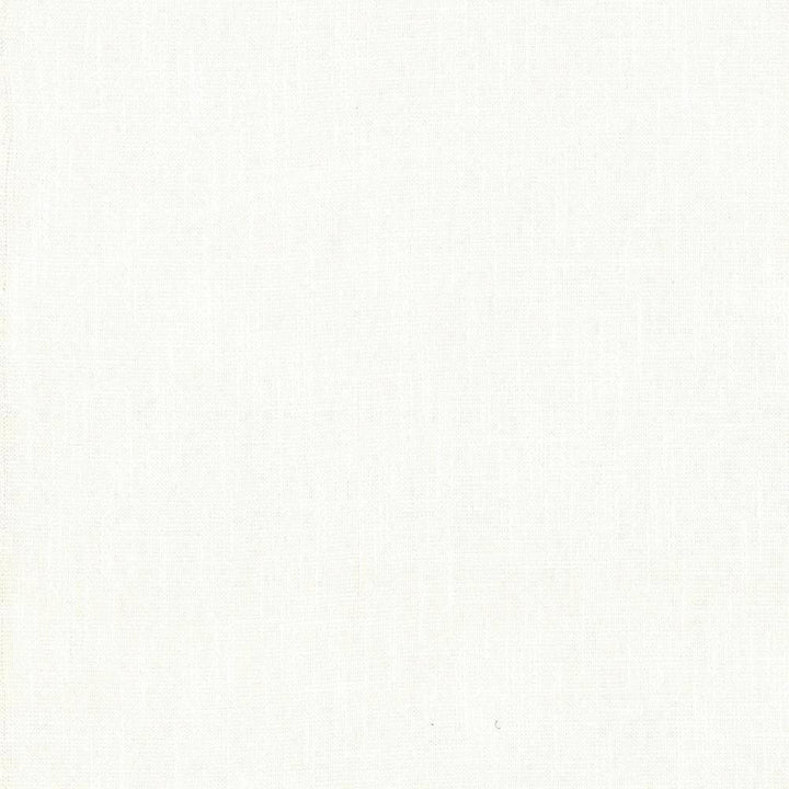 Big Sur Cream by Kasmir Fabric 1341 55% Rayon 45% Polyester TAIWAN 30,000 Wyzenbeek Double Rubs H: N/A, V:N/A 54 - 55 - Fabric Carolina - Kasmir