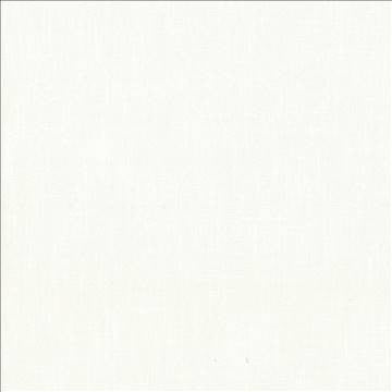 Big Sur Cream by Kasmir Fabric 5025 55% Rayon 45% Polyester TAIWAN 30,000 Wyzenbeek Double Rubs H: N/A, V: N/A 54 - 55 - Fabric Carolina - Kasmir