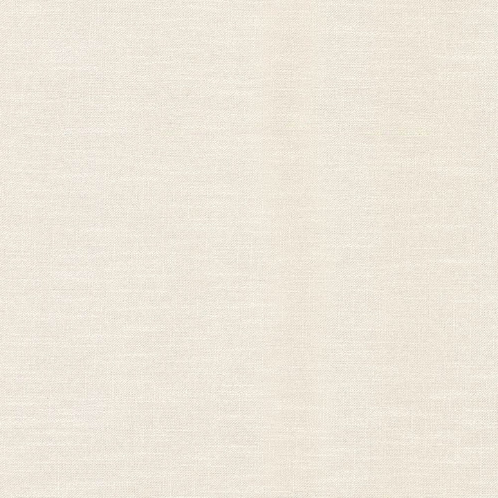 Big Sur Linen by Kasmir Fabric 1341 55% Rayon
45% Polyester
 TAIWAN 30,000 Wyzenbeek Double Rubs </p><p>Repeat: Horizontal: N/A and Vertical: N/A 54 - Fabric Carolina -