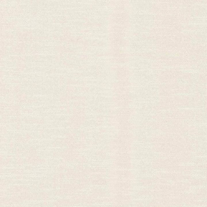 Big Sur Linen by Kasmir Fabric 5025 55% Rayon 45% Polyester TAIWAN 30,000 Wyzenbeek Double Rubs H: N/A, V:N/A 54 - 55 - Fabric Carolina - Kasmir