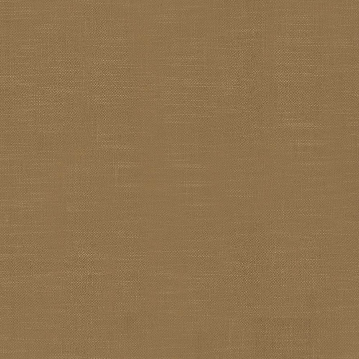 Big Sur Maple by Kasmir Fabric 5025 55% Rayon
45% Polyester
 TAIWAN 30,000 Wyzenbeek Double Rubs </p><p>Repeat: Horizontal: N/A and Vertical: N/A 54 - Fabric Carolina -
