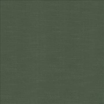 Big Sur Moss by Kasmir Fabric 5025 55% Rayon 45% Polyester TAIWAN 30,000 Wyzenbeek Double Rubs H: N/A, V: N/A 54 - 55 - Fabric Carolina - Kasmir