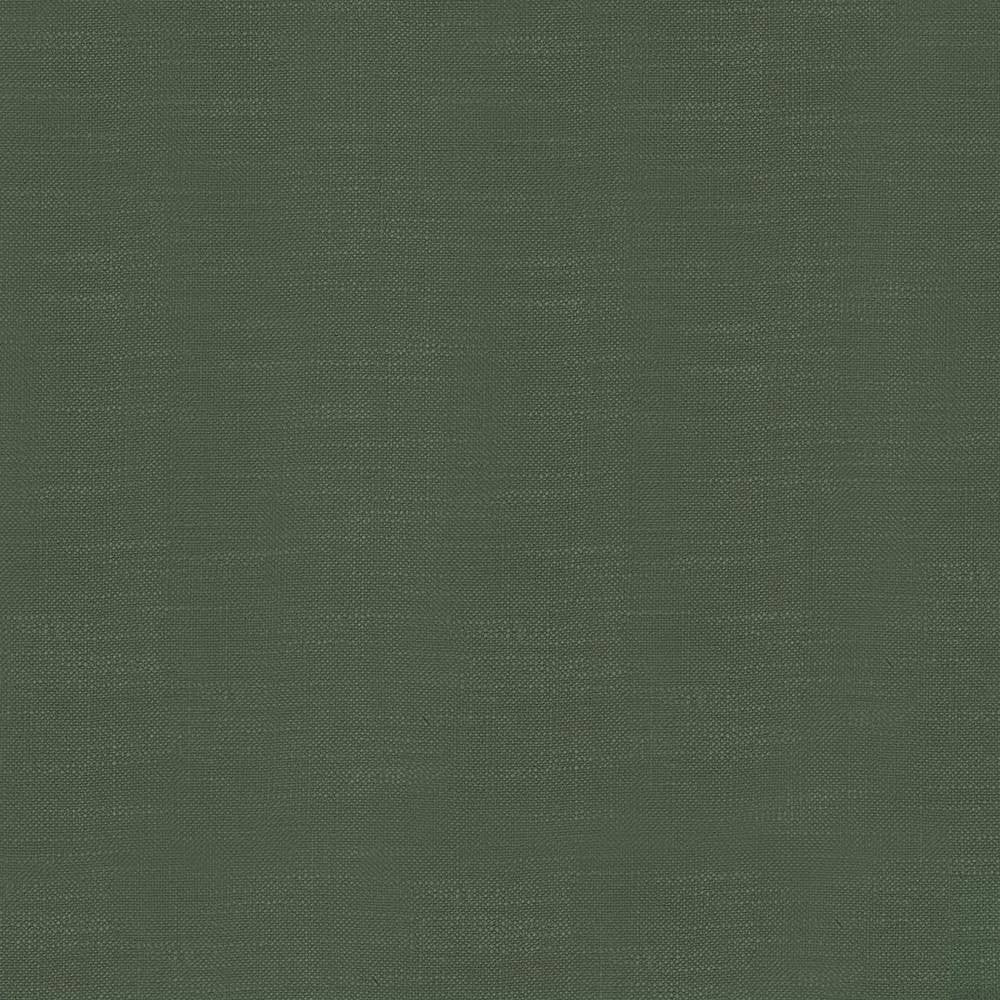 Big Sur Moss by Kasmir Fabric 5025 55% Rayon 45% Polyester TAIWAN 30,000 Wyzenbeek Double Rubs H: N/A, V:N/A 54 - 55 - Fabric Carolina - Kasmir