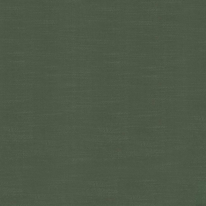 Big Sur Moss by Kasmir Fabric 5025 55% Rayon 45% Polyester TAIWAN 30,000 Wyzenbeek Double Rubs H: N/A, V:N/A 54 - 55 - Fabric Carolina - Kasmir