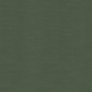 Big Sur Moss by Kasmir Fabric