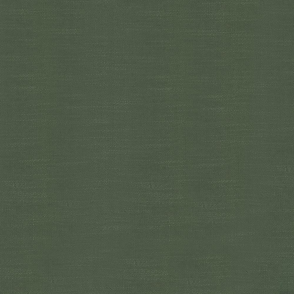 Big Sur Moss by Kasmir Fabric 5025 55% Rayon
45% Polyester
 TAIWAN 30,000 Wyzenbeek Double Rubs Horizontal: N/A and Vertical: N/A 54 - Fabric Carolina -