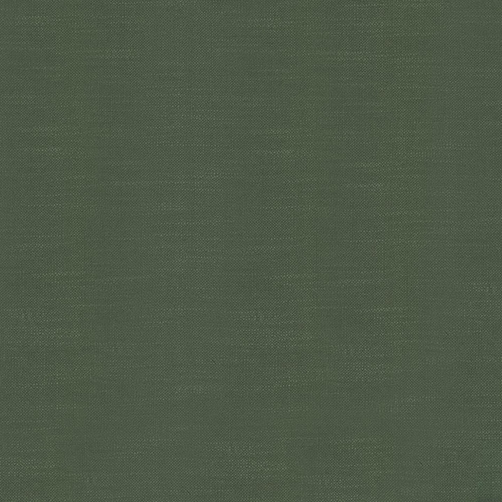 Big Sur Moss by Kasmir Fabric 5025 55% Rayon
45% Polyester
 TAIWAN </p><p>Repeat: Horizontal: N/A and Vertical: N/A 54 - 55 - Fabric Carolina -