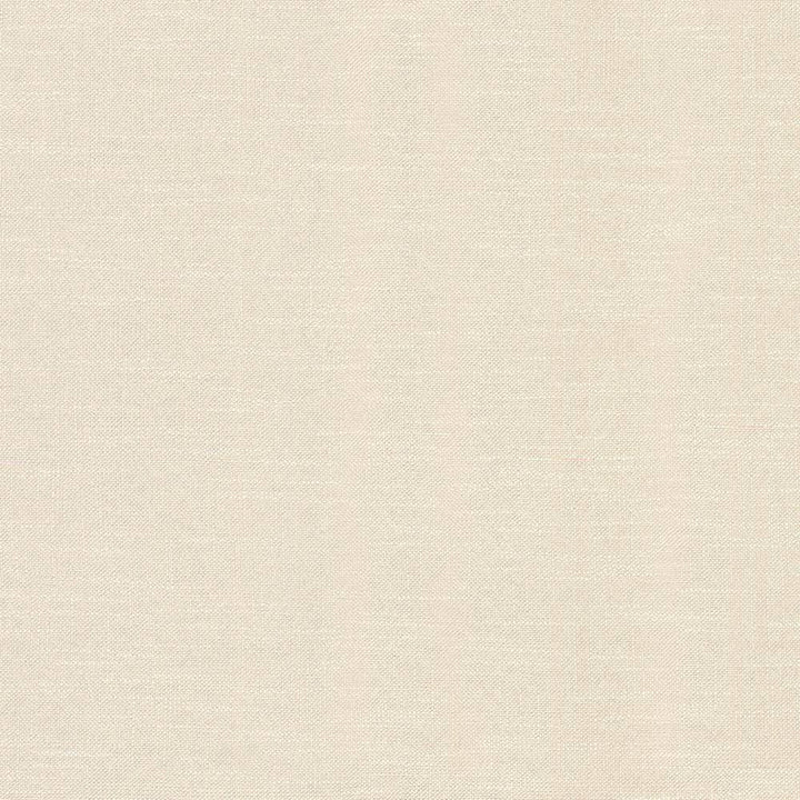 Big Sur Natural by Kasmir Fabric 5025 55% Rayon 45% Polyester TAIWAN 30,000 Wyzenbeek Double Rubs H: N/A, V:N/A 54 - 55 - Fabric Carolina - Kasmir
