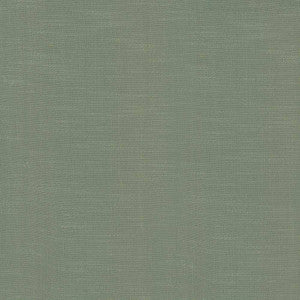 Big Sur Oxford by Kasmir Fabric