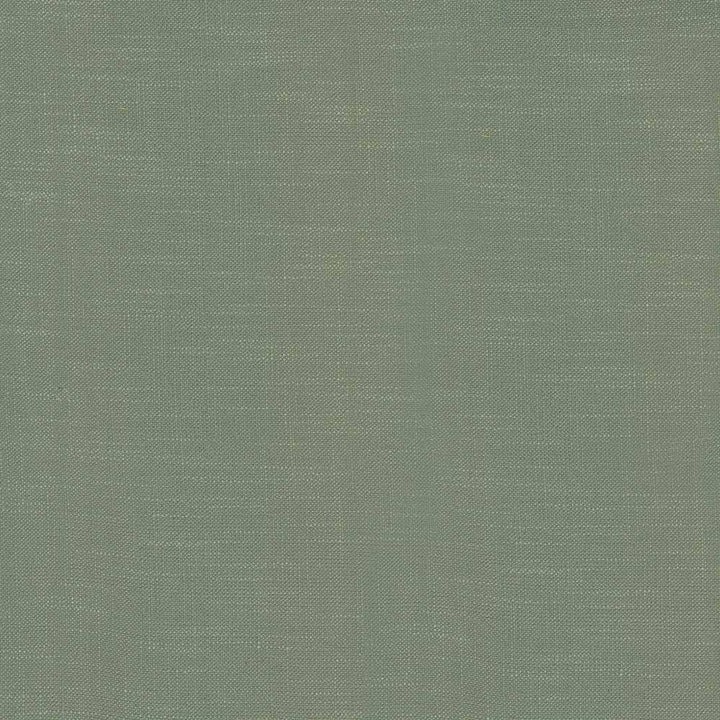 Big Sur Oxford by Kasmir Fabric 5025 55% Rayon 45% Polyester TAIWAN 30,000 Wyzenbeek Double Rubs H: N/A, V:N/A 54 - 55 - Fabric Carolina - Kasmir