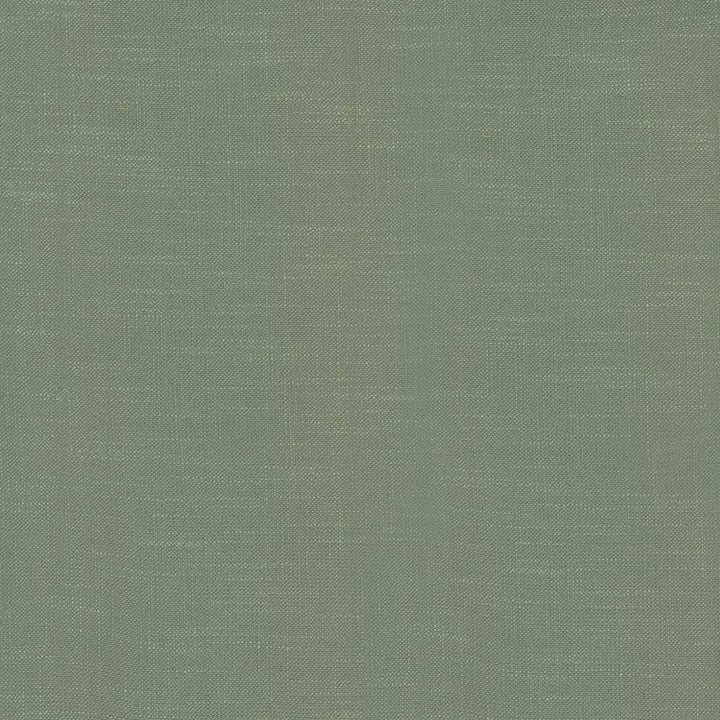 Big Sur Oxford by Kasmir Fabric 5025 55% Rayon 45% Polyester TAIWAN 30,000 Wyzenbeek Double Rubs Horizontal: 0 Inches and Vertical: 0 Inches 54 - 55 - Fabric Carolina -