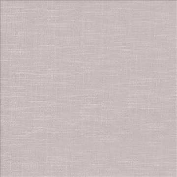 Big Sur Platinum by Kasmir Fabric 5025 55% Rayon 45% Polyester TAIWAN 30,000 Wyzenbeek Double Rubs H: N/A, V: N/A 54 - 55 - Fabric Carolina - Kasmir