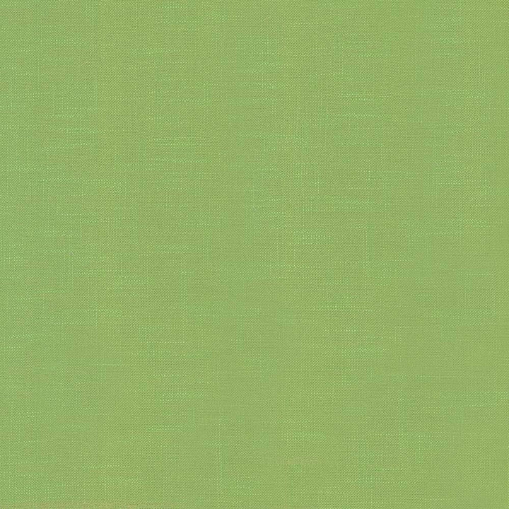 Big Sur Sprite by Kasmir Fabric 5025 55% Rayon 45% Polyester TAIWAN 30,000 Wyzenbeek Double Rubs H: N/A, V:N/A 54 - 55 - Fabric Carolina - Kasmir