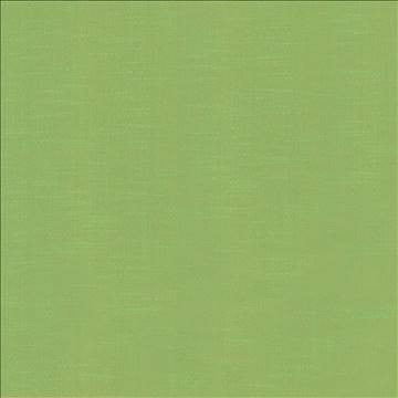 Big Sur Sprite by Kasmir Fabric 5025 55% Rayon 45% Polyester TAIWAN 30,000 Wyzenbeek Double Rubs H: N/A, V: N/A 54 - 55 - Fabric Carolina - Kasmir
