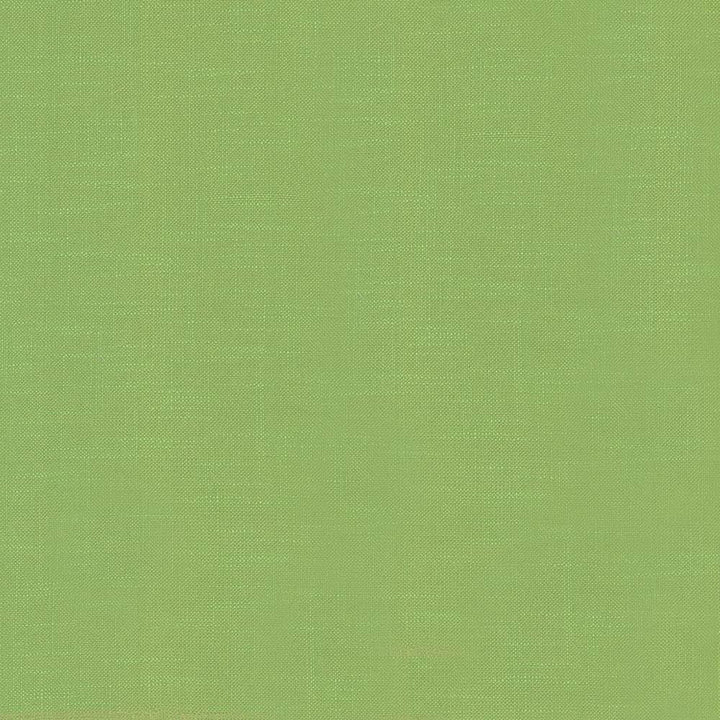 Big Sur Sprite by Kasmir Fabric 5025 55% Rayon 45% Polyester TAIWAN 30,000 Wyzenbeek Double Rubs Horizontal: 0 Inches and Vertical: 0 Inches 54 - 55 - Fabric Carolina -
