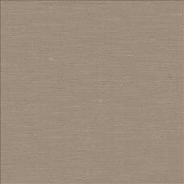 Big Sur Toast by Kasmir Fabric 5025 55% Rayon 45% Polyester TAIWAN 30,000 Wyzenbeek Double Rubs H: N/A, V: N/A 54 - 55 - Fabric Carolina - Kasmir