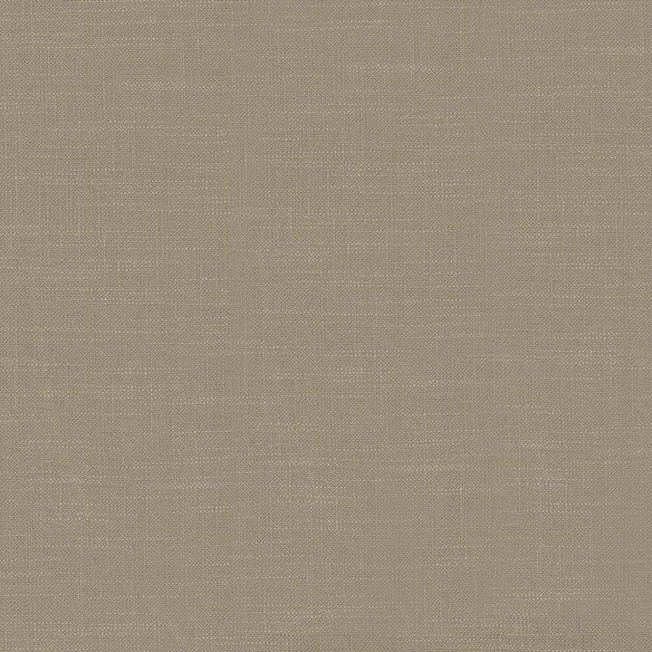Big Sur Toast by Kasmir Fabric 5025 55% Rayon 45% Polyester TAIWAN 30,000 Wyzenbeek Double Rubs H: N/A, V:N/A 54 - 55 - Fabric Carolina - Kasmir