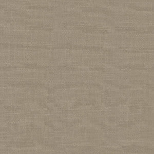 Big Sur Toast by Kasmir Fabric