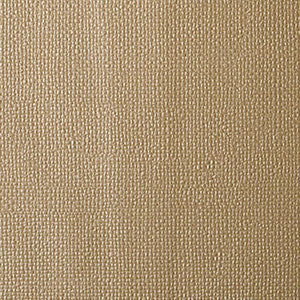 Bima Gold Dust by Kravet Design Fabric