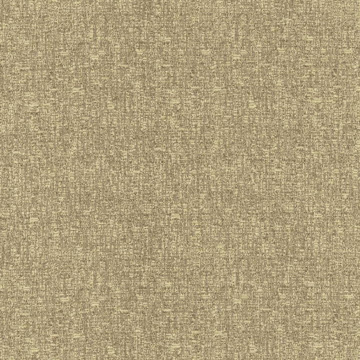 Blake Almond by Kasmir Fabric 5130 87% Polyester
13% Cotton
 INDIA </p><p>Repeat: Horizontal: N/A and Vertical: N/A 54 - Fabric Carolina -