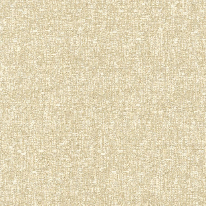 Blake Beach by Kasmir Fabric 5130 87% Polyester
13% Cotton
 INDIA </p><p>Repeat: Horizontal: N/A and Vertical: N/A 54 - Fabric Carolina -
