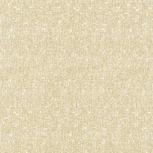 Blake Beach by Kasmir Fabric