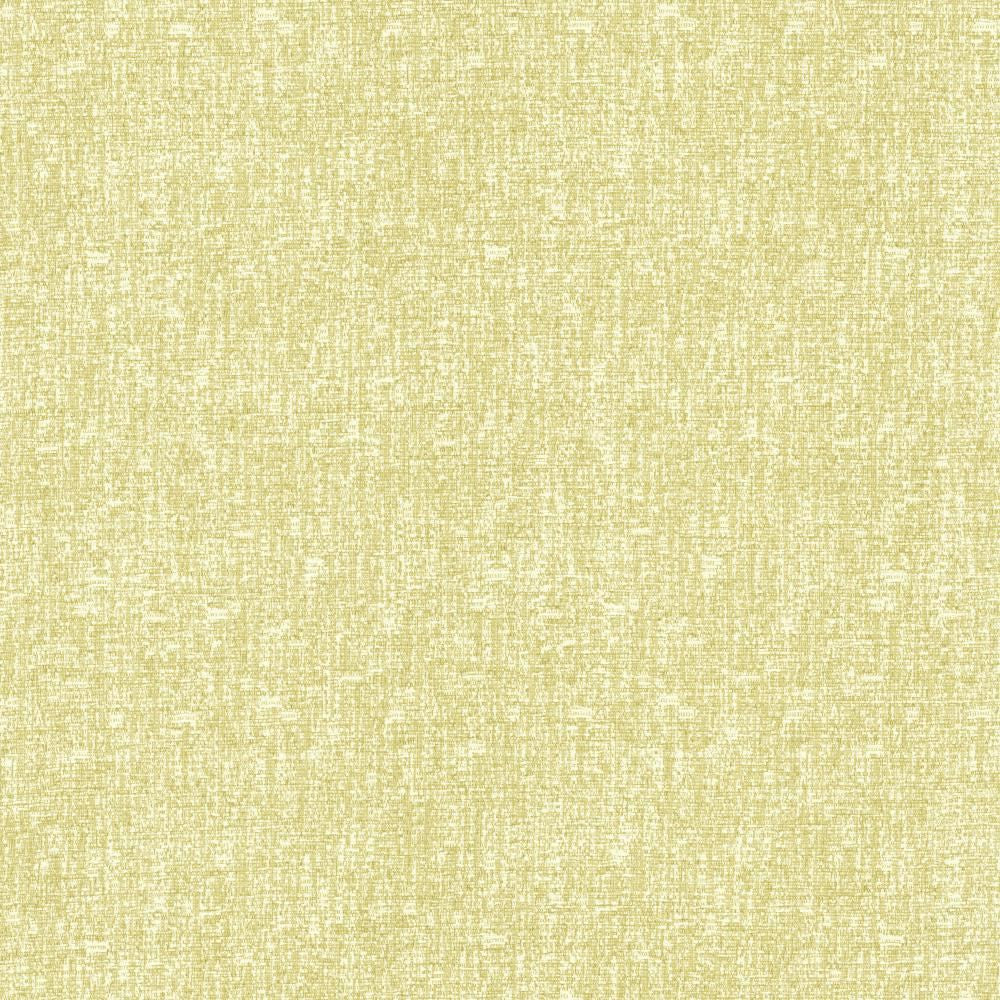 Blake Citrus by Kasmir Fabric 5130 87% Polyester
13% Cotton
 INDIA </p><p>Repeat: Horizontal: N/A and Vertical: N/A 54 - Fabric Carolina -