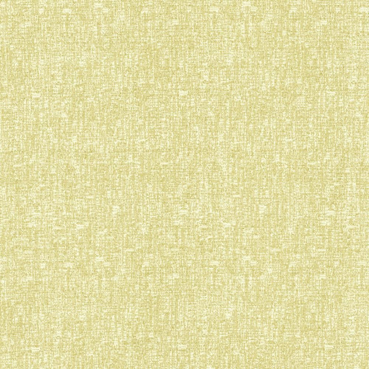Blake Citrus by Kasmir Fabric 5130 87% Polyester
13% Cotton
 INDIA </p><p>Repeat: Horizontal: N/A and Vertical: N/A 54 - Fabric Carolina -