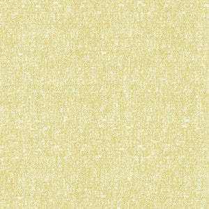 Blake Citrus by Kasmir Fabric