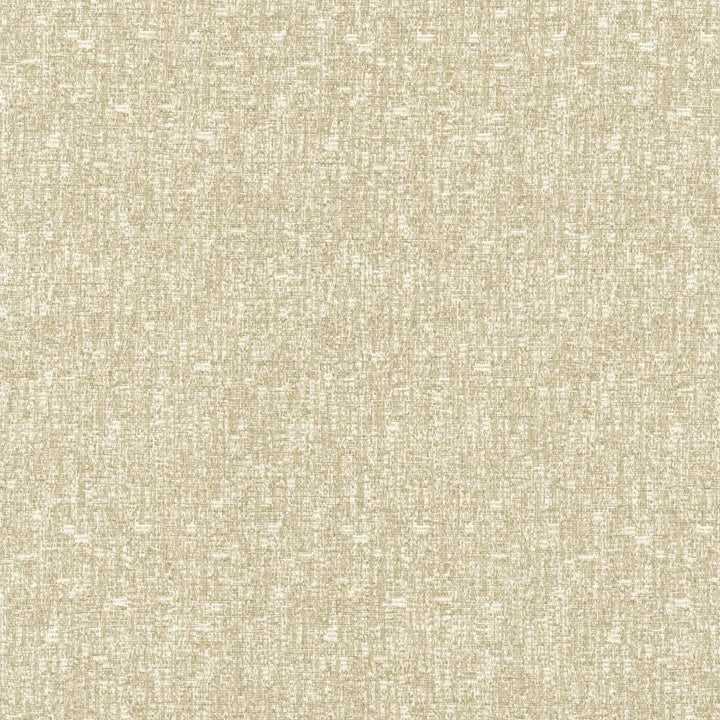 Blake Classic by Kasmir Fabric 5130 87% Polyester
13% Cotton
 INDIA </p><p>Repeat: Horizontal: N/A and Vertical: N/A 54 - Fabric Carolina -