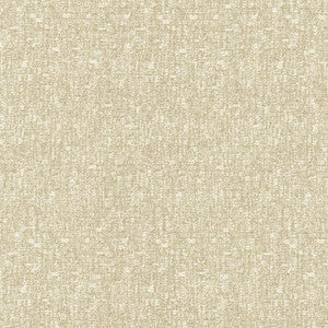 Blake Classic by Kasmir Fabric