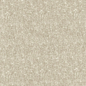 Blake Cloud by Kasmir Fabric