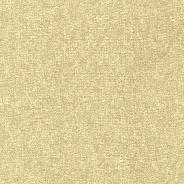 Blake Conch by Kasmir Fabric 5130 87% Polyester
13% Cotton
 INDIA </p><p>Repeat: Horizontal: N/A and Vertical: N/A 54 - Fabric Carolina -