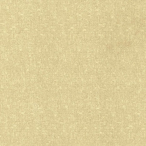Blake Conch by Kasmir Fabric