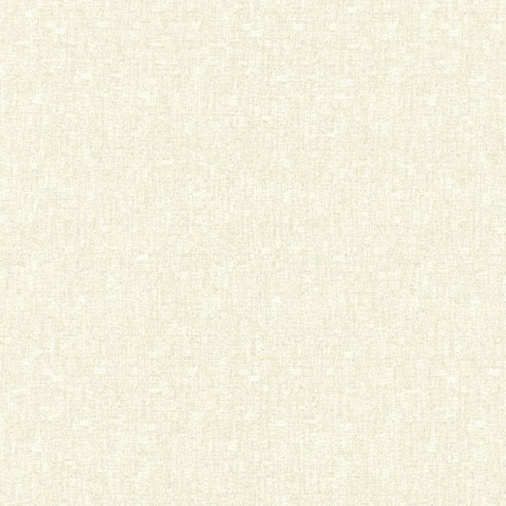 Blake Cream by Kasmir Fabric 5130 87% Polyester
13% Cotton
 INDIA </p><p>Repeat: Horizontal: N/A and Vertical: N/A 54 - Fabric Carolina -