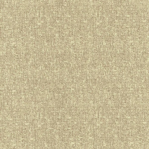 Blake Dune by Kasmir Fabric