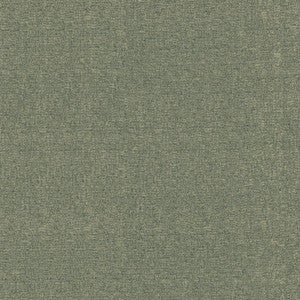 Blake Federal by Kasmir Fabric