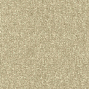 Blake Halo by Kasmir Fabric
