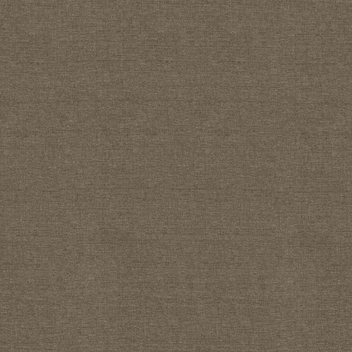 Blake Iris by Kasmir Fabric 5130 87% Polyester
13% Cotton
 INDIA </p><p>Repeat: Horizontal: N/A and Vertical: N/A 54 - Fabric Carolina -