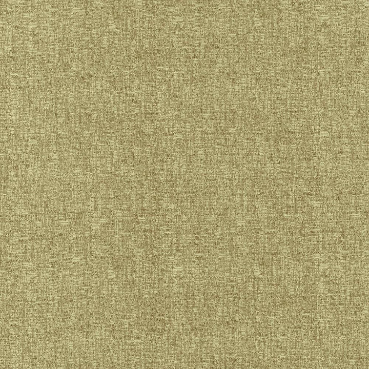 Blake Jalapeno by Kasmir Fabric 5130 87% Polyester
13% Cotton
 INDIA </p><p>Repeat: Horizontal: N/A and Vertical: N/A 54 - Fabric Carolina -