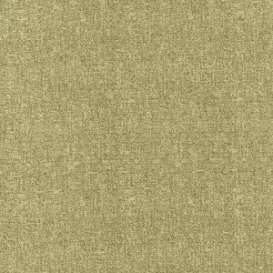 Blake Jalapeno by Kasmir Fabric