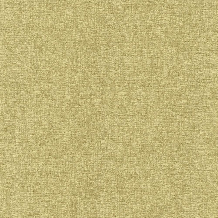 Blake Parsley by Kasmir Fabric 5130 87% Polyester
13% Cotton
 INDIA </p><p>Repeat: Horizontal: N/A and Vertical: N/A 54 - Fabric Carolina -