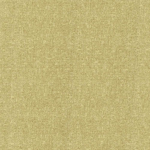 Blake Parsley by Kasmir Fabric